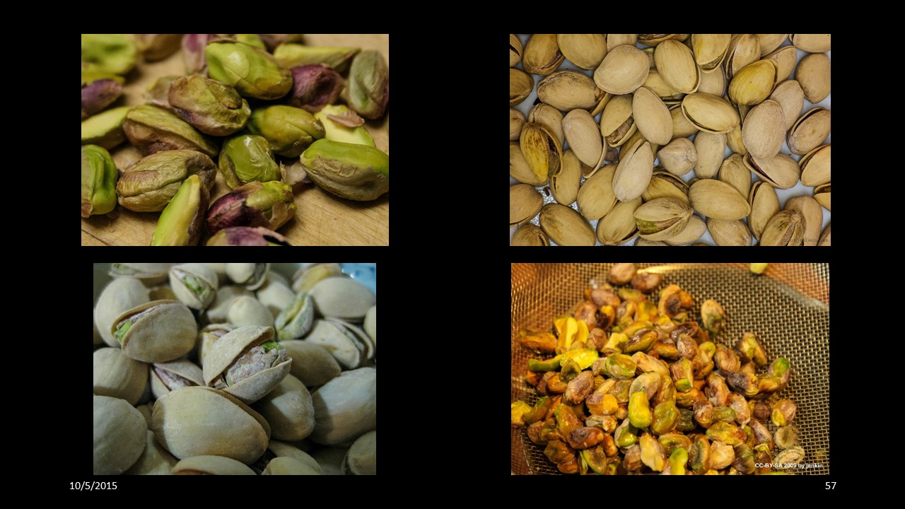 pistachio