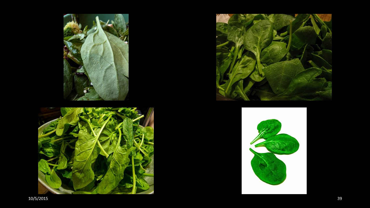 spinach