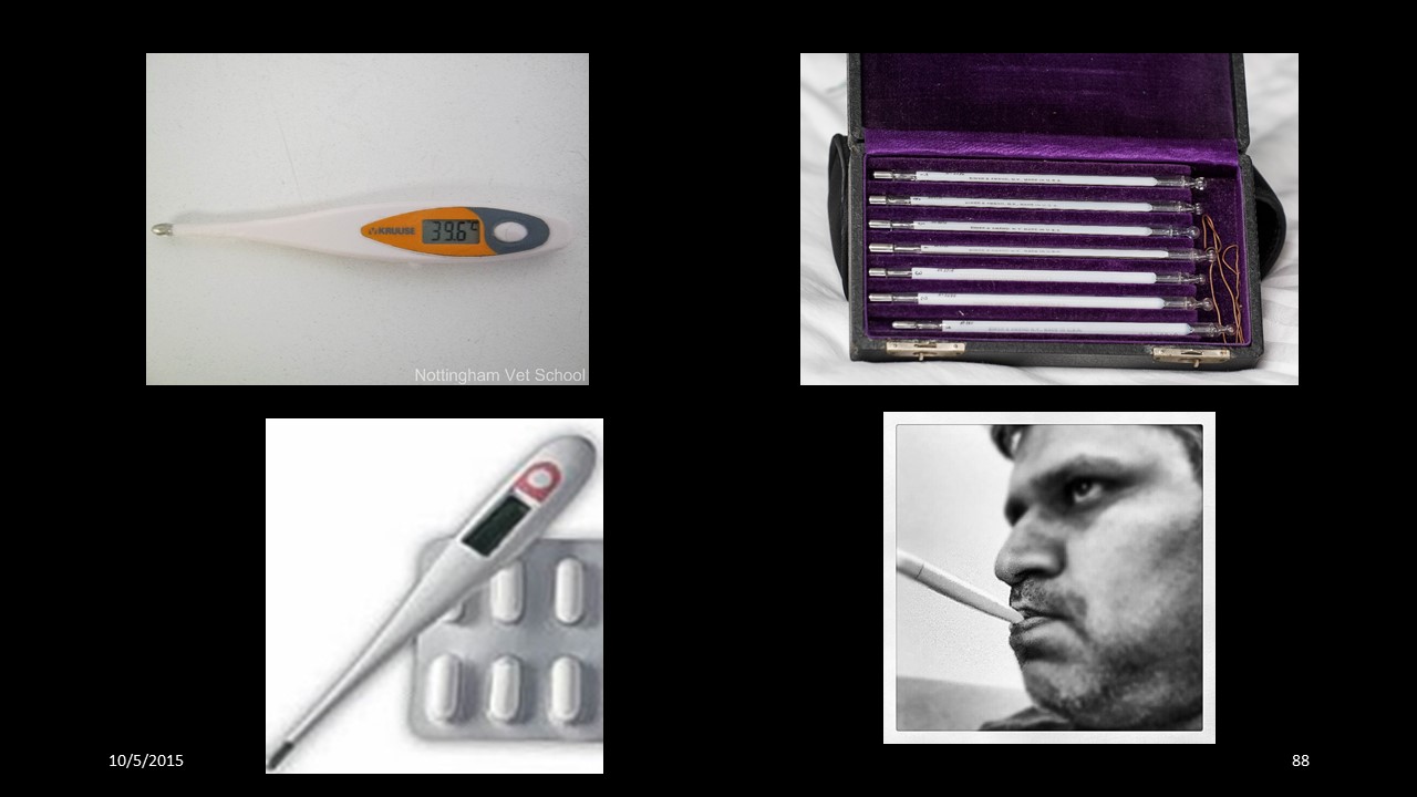 thermometer