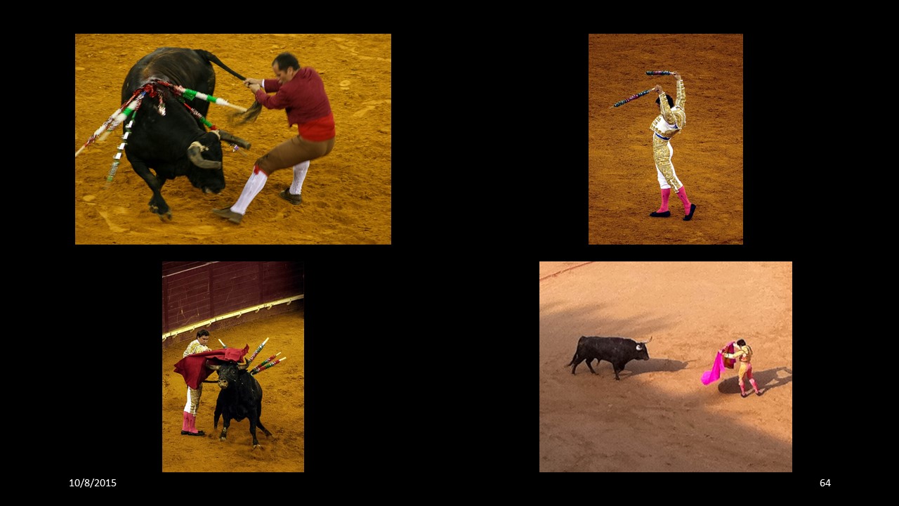 bullfighting