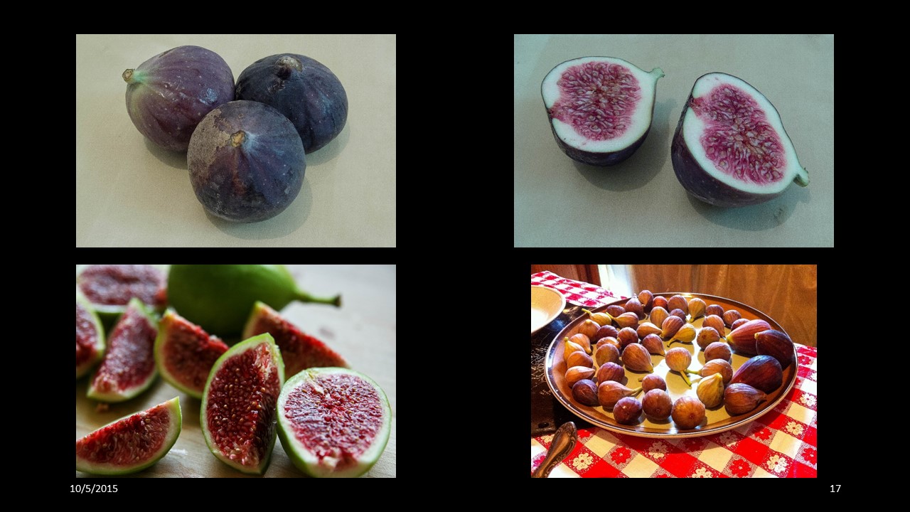 fig